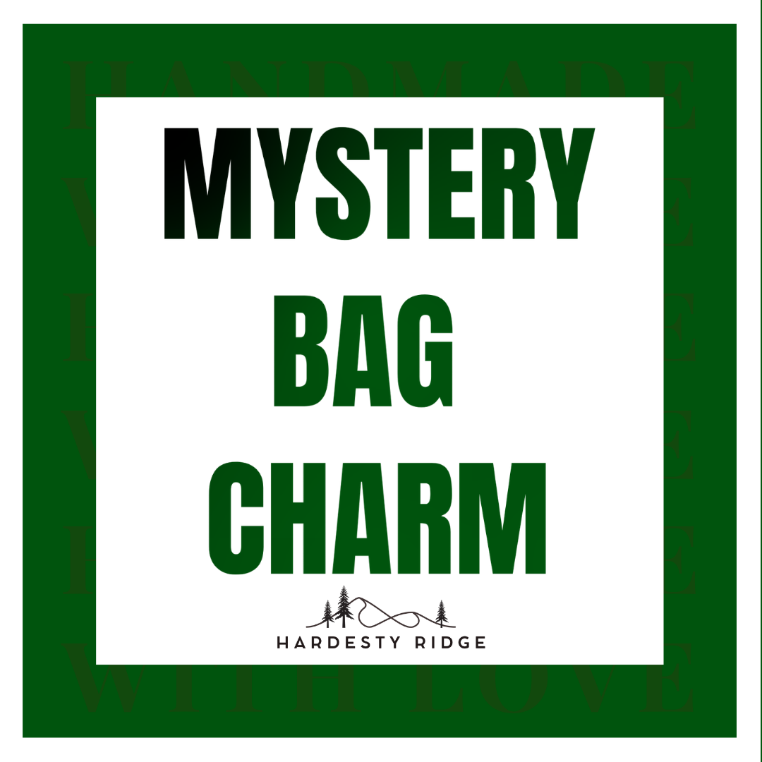 Mystery Bag Charm