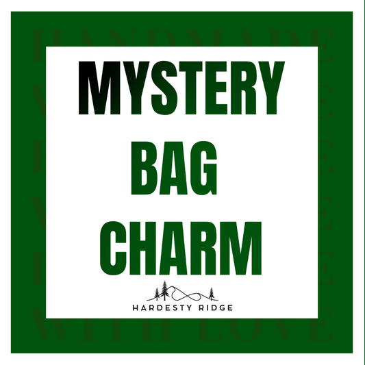 Mystery Bag Charm